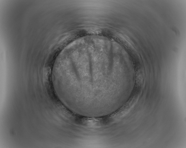 X0000112770229200909101557