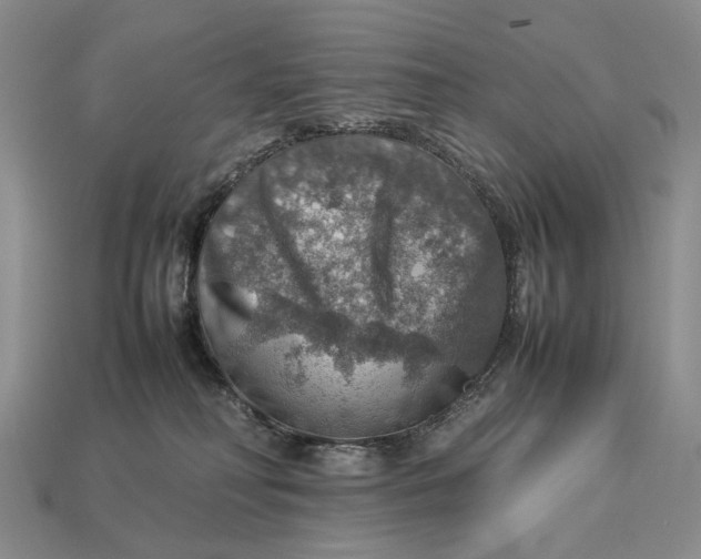 X0000112770230200909101557