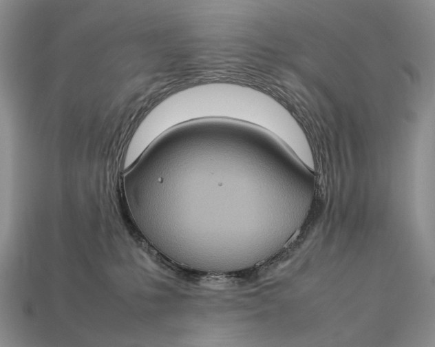 X0000112770231200909101557