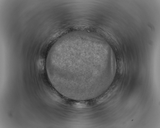 X0000112770232200909101557