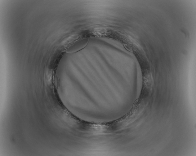 X0000112770233200909101557