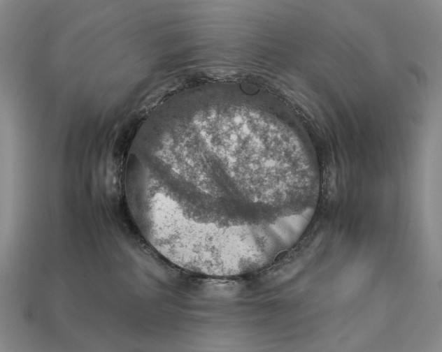 X0000112770234200909101557