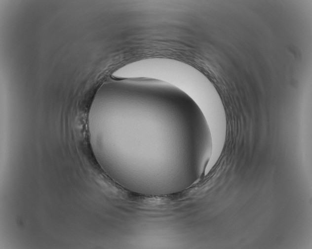 X0000112770237200909101557