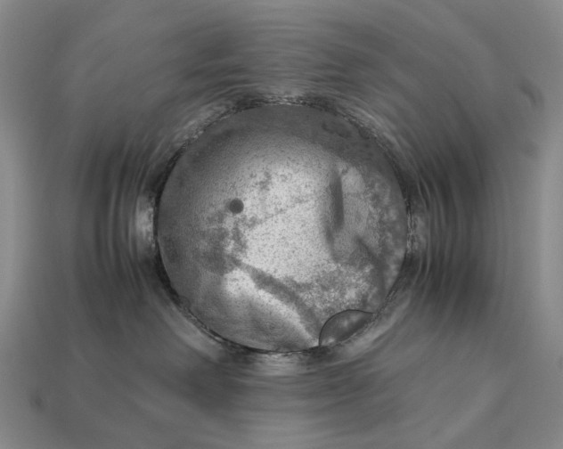 X0000112770238200909101557