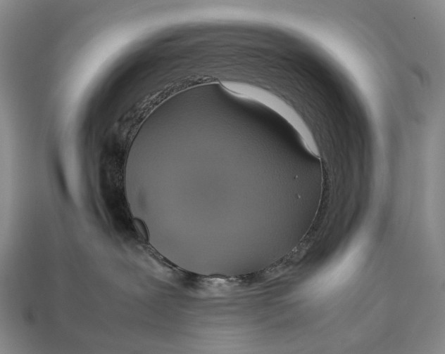 X0000112770239200909101557