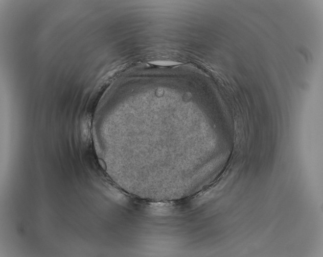 X0000112770240200909101557