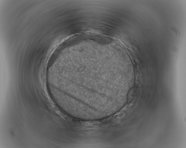 X0000112770241200909101557