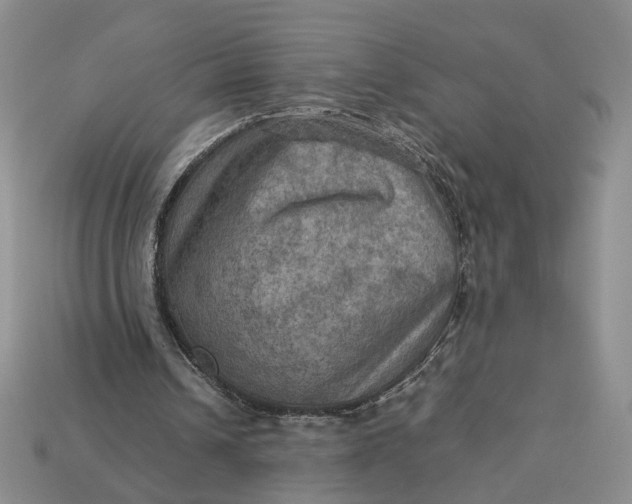 X0000112770242200909101557