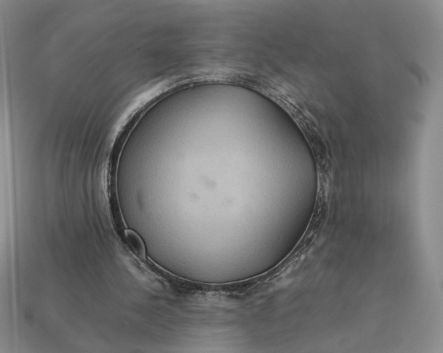 X0000112770244200909101557