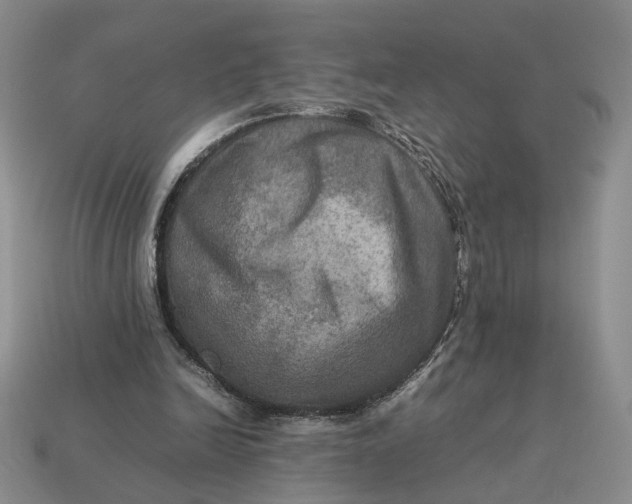 X0000112770246200909101557