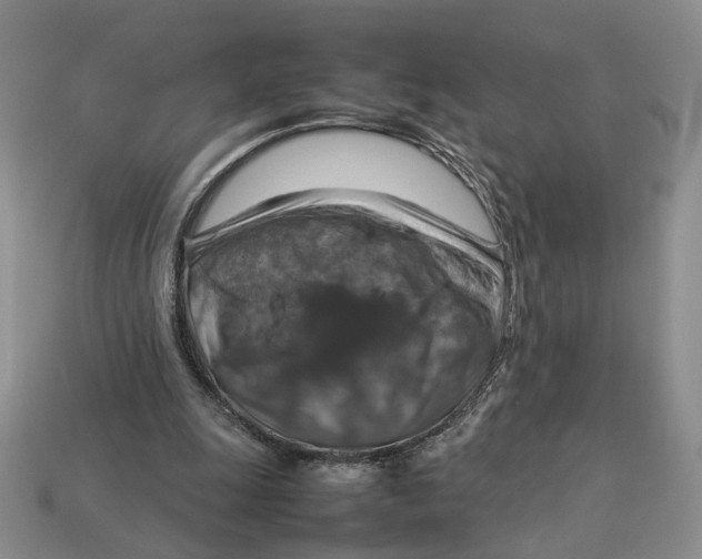 X0000112770247200909101557