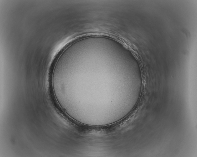 X0000112770248200909101557