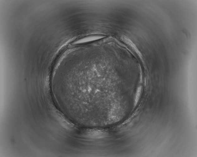 X0000112770249200909101557