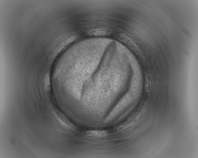 X0000112770251200909101557