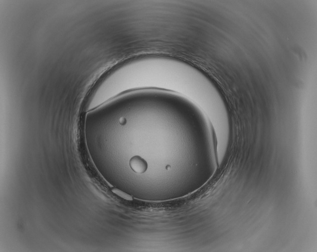 X0000112770252200909101557