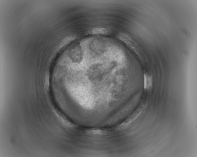 X0000112770253200909101557