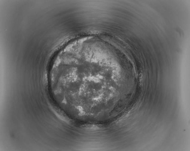 X0000112770254200909101557