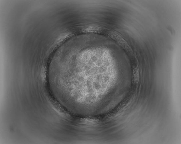 X0000112770255200909101557