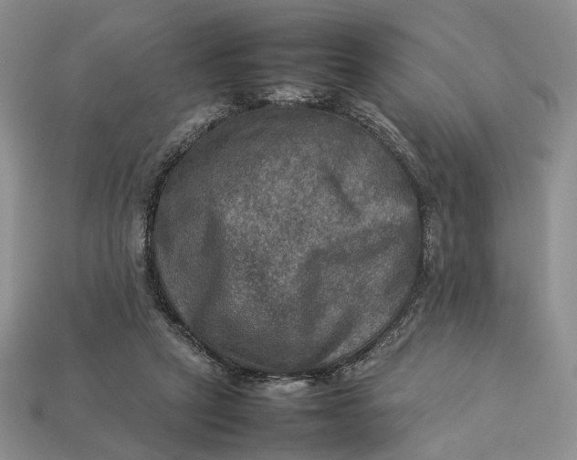 X0000112770257200909101557