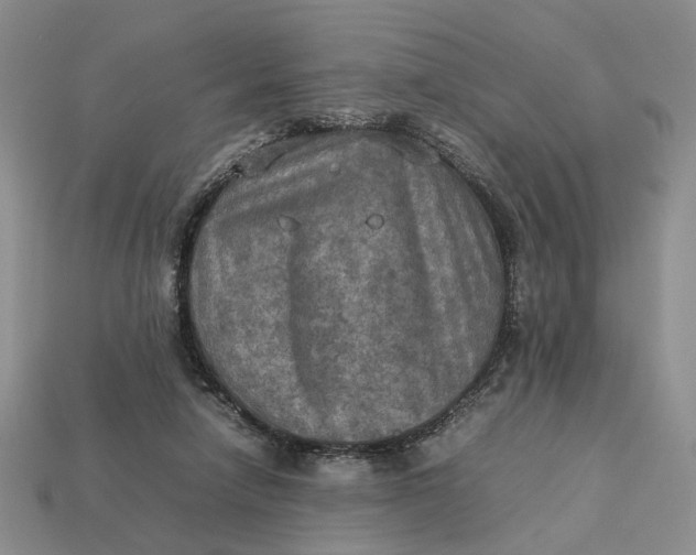 X0000112770258200909101557