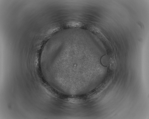 X0000112770259200909101557