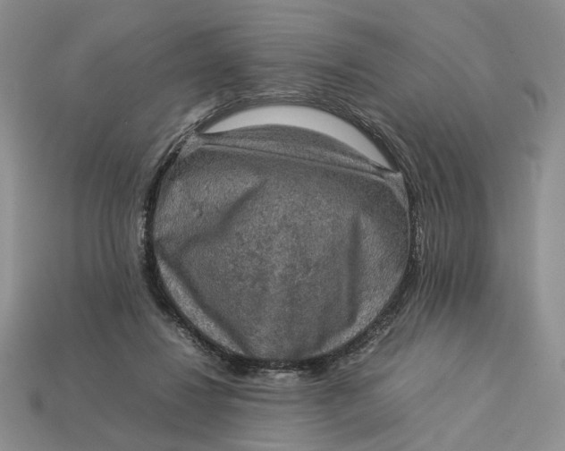 X0000112770260200909101557