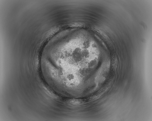 X0000112770261200909101557