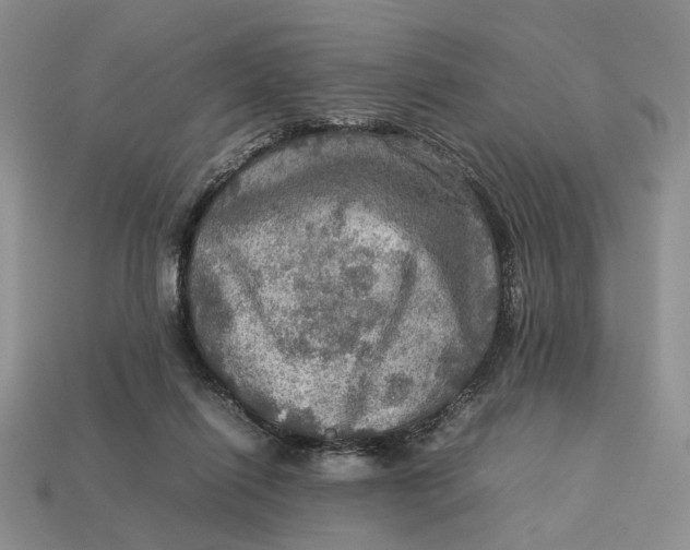 X0000112770262200909101557