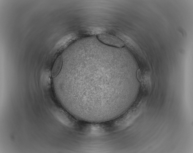 X0000112770264200909101557