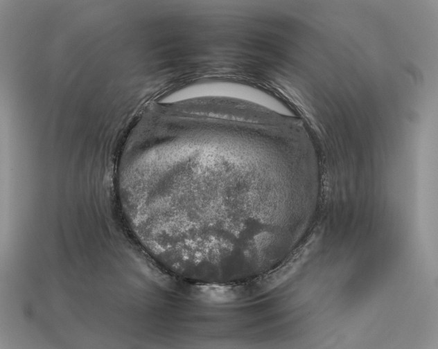 X0000112770265200909101557