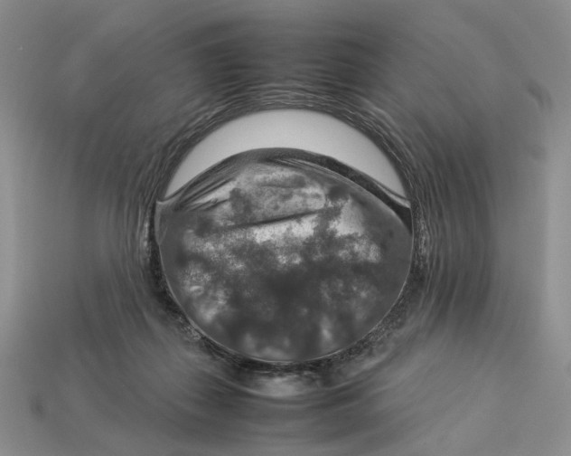 X0000112770267200909101557