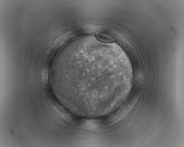 X0000112770268200909101557