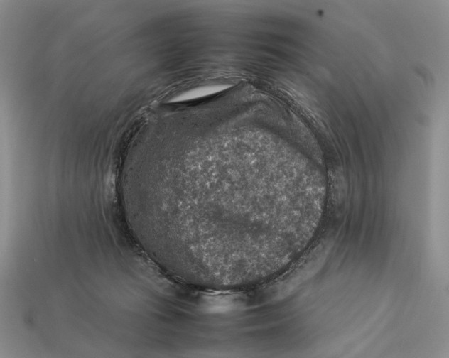 X0000112770269200909101557