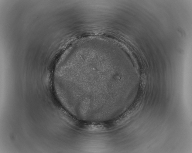 X0000112770270200909101557