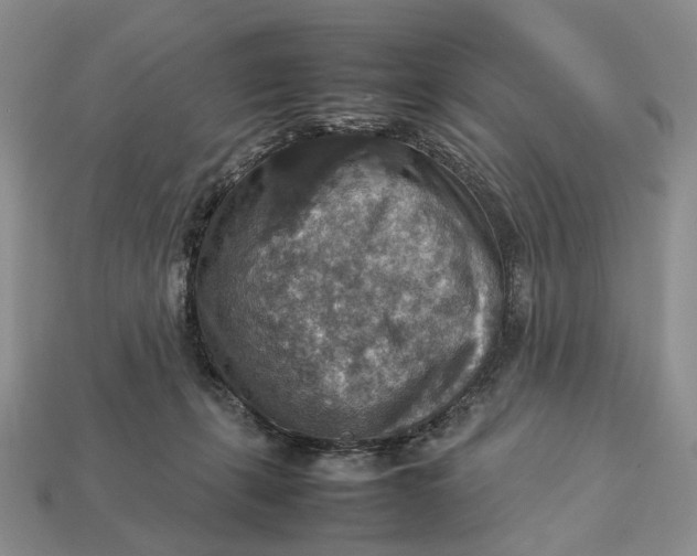 X0000112770271200909101557