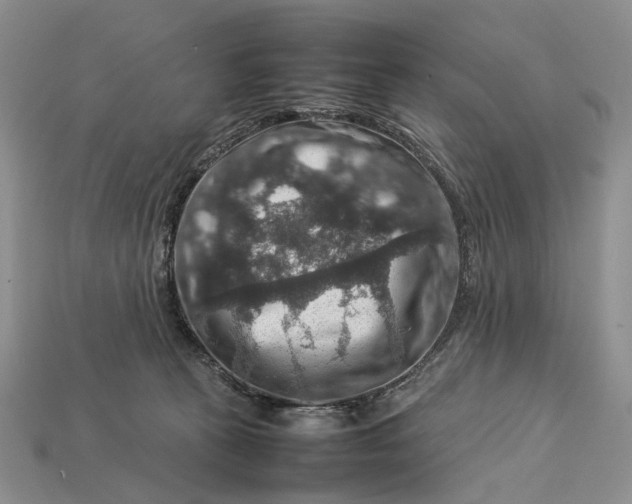 X0000112770273200909101557