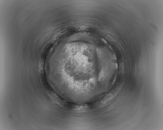 X0000112770274200909101557