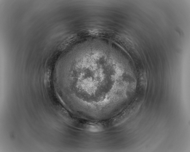 X0000112770275200909101557