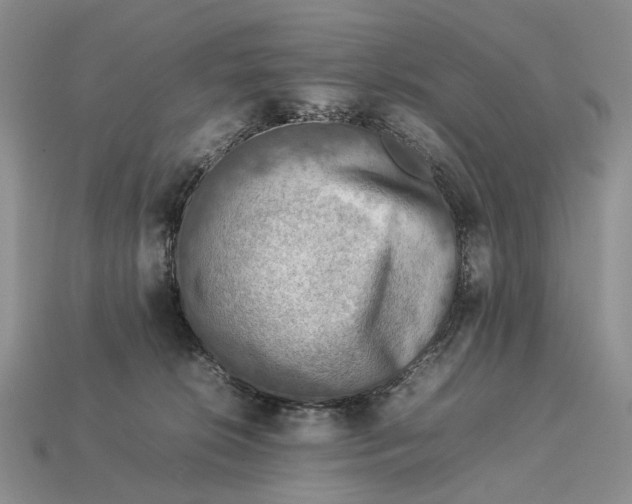 X0000112770276200909101557