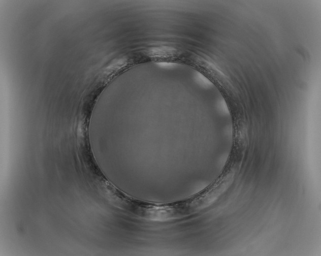 X0000112770277200909101557