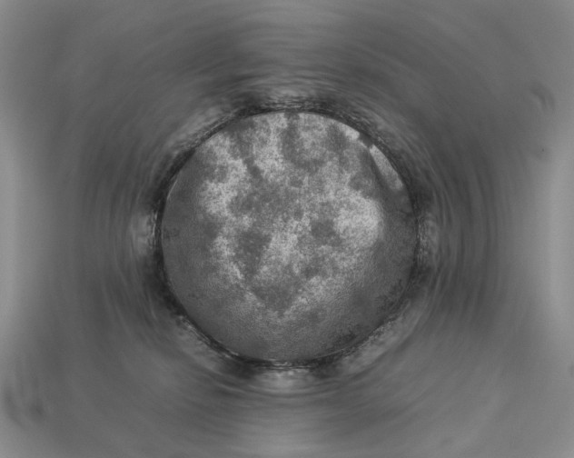 X0000112770278200909101557