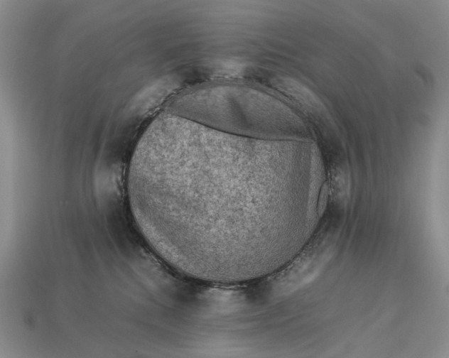 X0000112770280200909101557