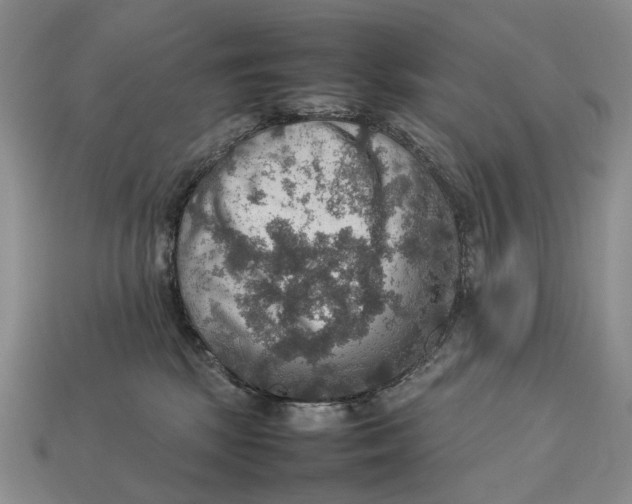 X0000112770281200909101557