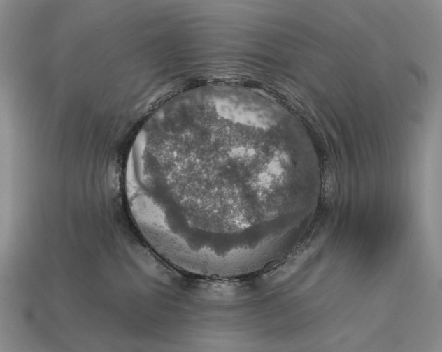 X0000112770282200909101557