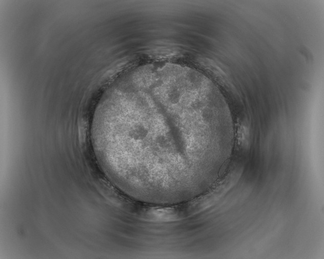 X0000112770283200909101557