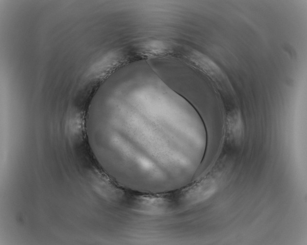 X0000112770284200909101557