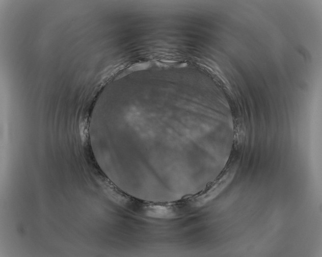 X0000112770285200909101557