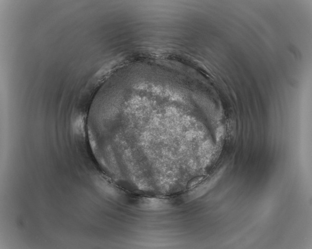 X0000112770286200909101557