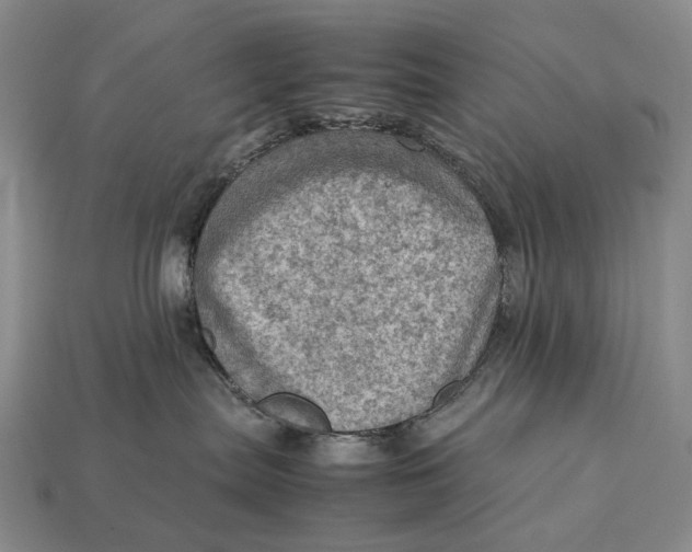 X0000112770287200909101557