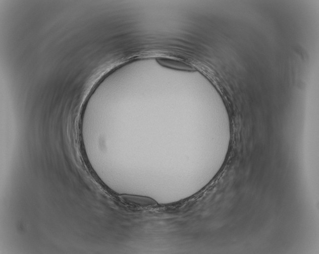 X0000112770289200909101557